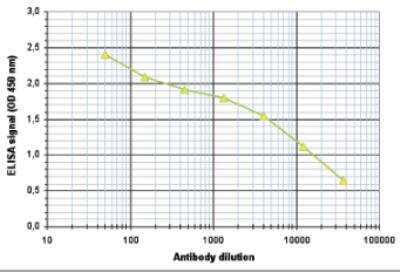 ELISA: Histone H3 [ac Lys27] Antibody [NBP2-54615]